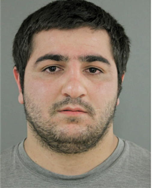 RAMIL MUSAEV, Cook County, Illinois