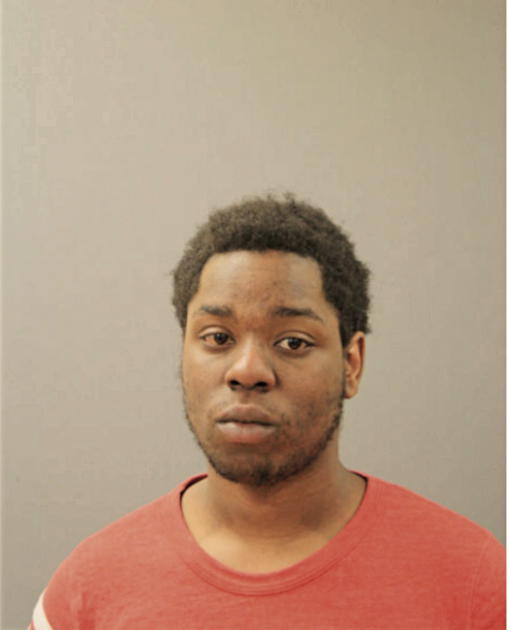 TYLER NELSON, Cook County, Illinois