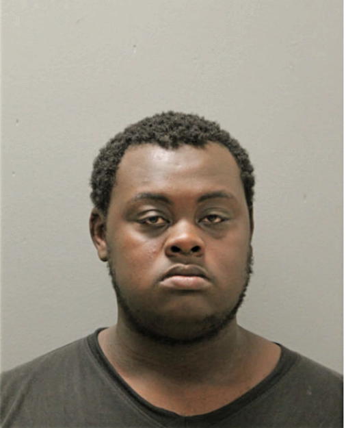 MICHAEL E PARHAM, Cook County, Illinois