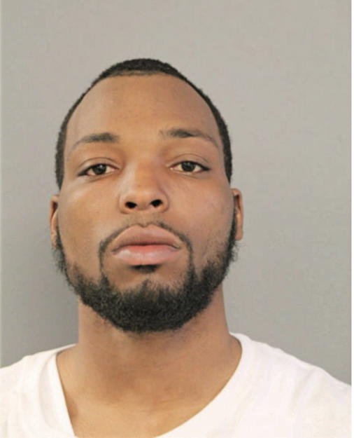 RYAN D RODGERS, Cook County, Illinois