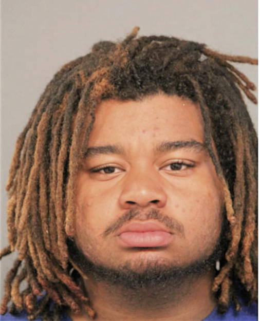 SEAN D SEYMOUR-ADAMS, Cook County, Illinois
