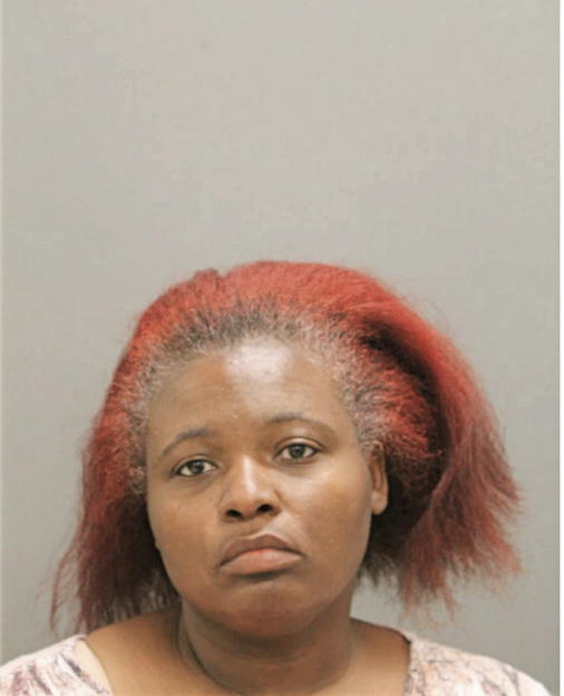MARISSA L STRICKLAND, Cook County, Illinois