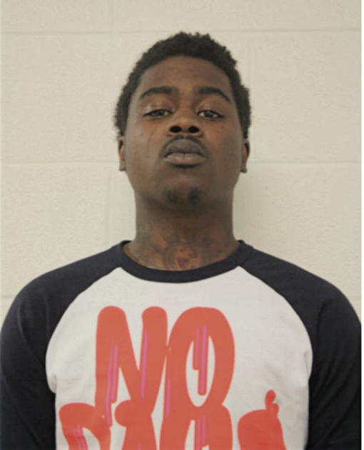 TYRONE J WATSON, Cook County, Illinois