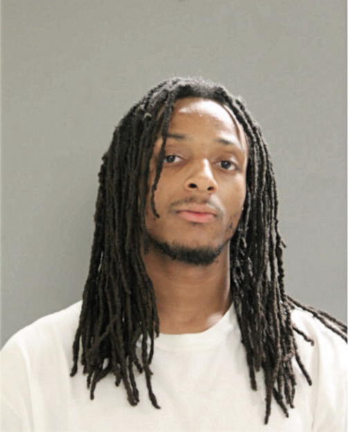 LESLIE D YOUNG, Cook County, Illinois