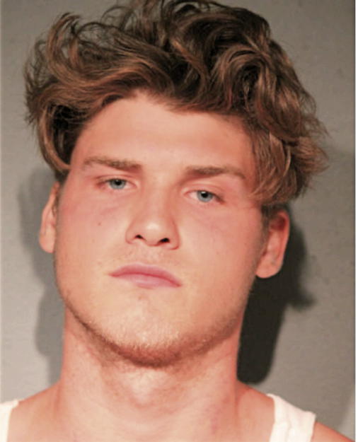 ANDREW T ZWOLFER, Cook County, Illinois