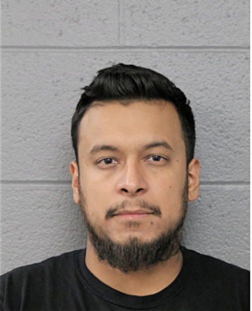 MANUEL J ALVA, Cook County, Illinois