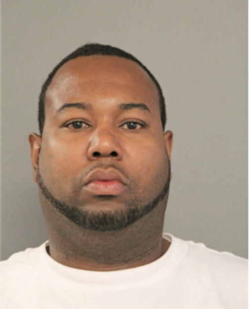 DAVID M ANDERSON, Cook County, Illinois