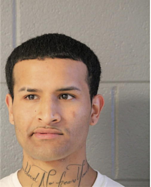 RICARDO ANDRADE, Cook County, Illinois