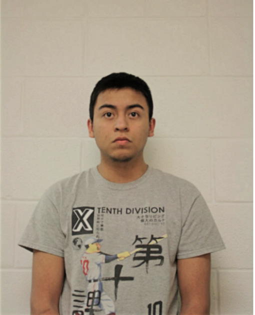 BRANDEN J ARROYO-MAZON, Cook County, Illinois