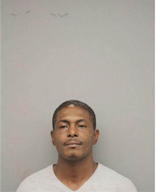 WILLIAM D AUSTIN, Cook County, Illinois