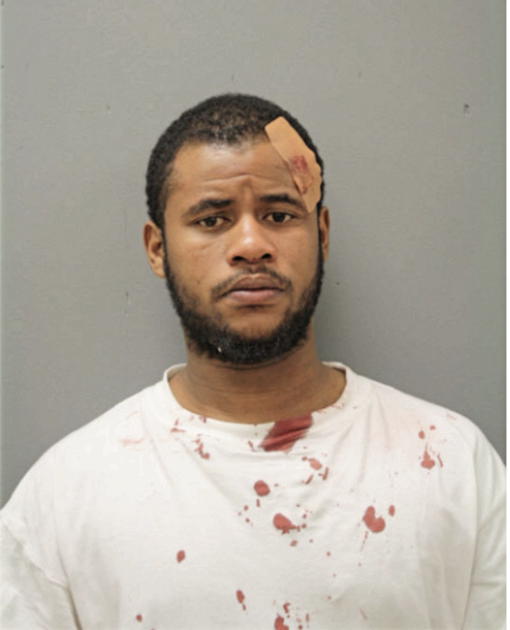 BURNELL B BUSH, Cook County, Illinois