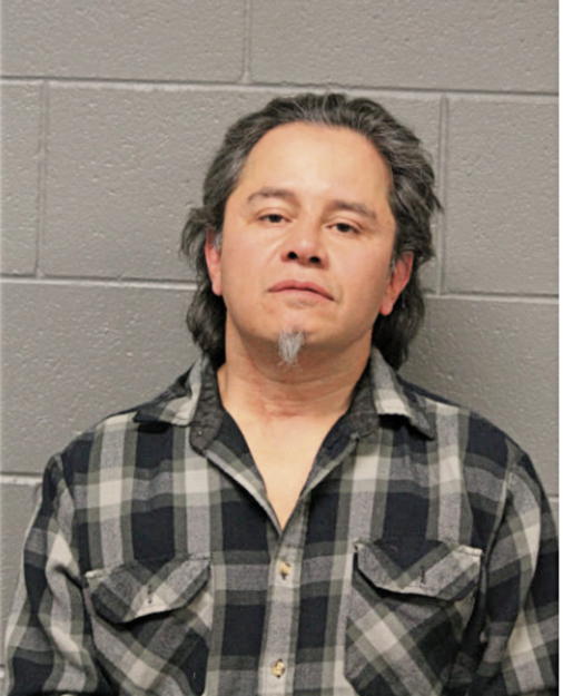 ALFONSO P CAZARES, Cook County, Illinois
