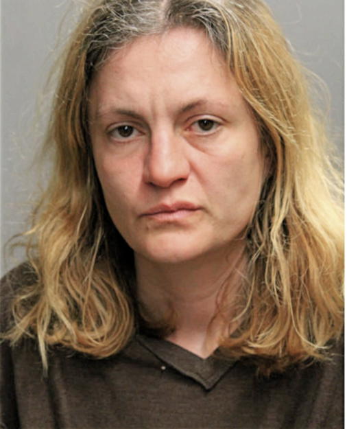 IVANKA DIMITROVA, Cook County, Illinois