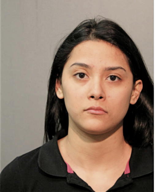 NORMA J GALEANO, Cook County, Illinois