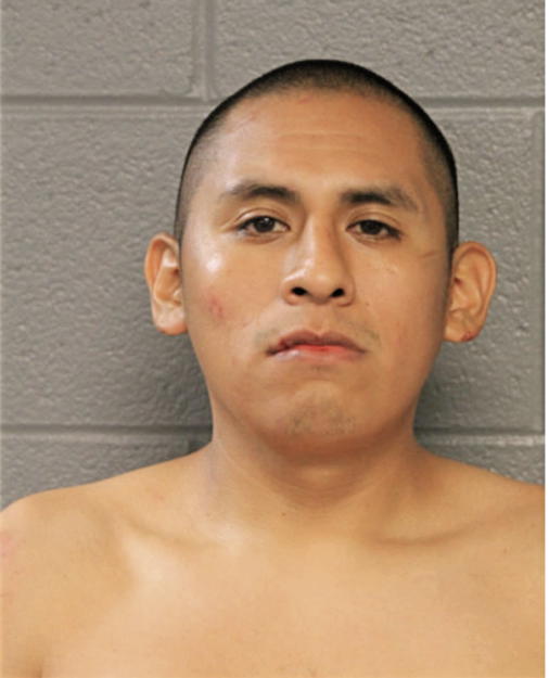 HECTOR GONZAGA, Cook County, Illinois