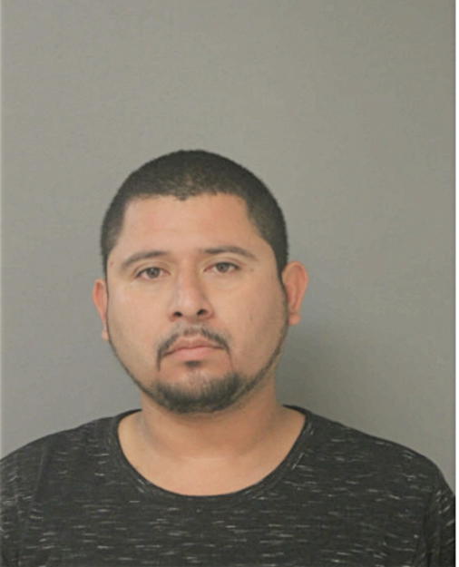 LUIS A HERNANDEZ, Cook County, Illinois