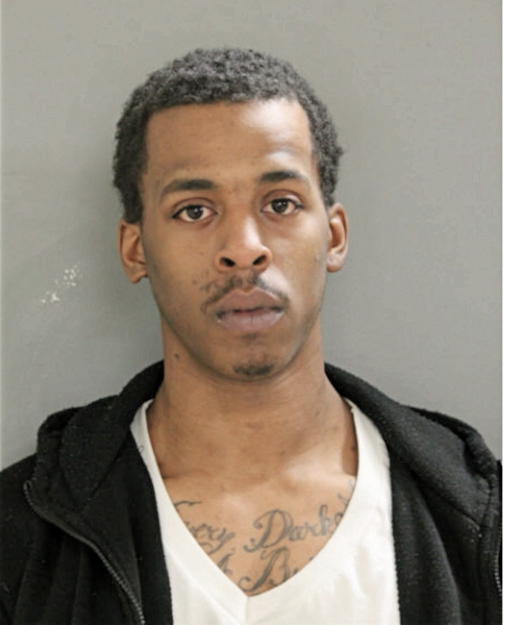 LASHAWN L HOLMAN, Cook County, Illinois