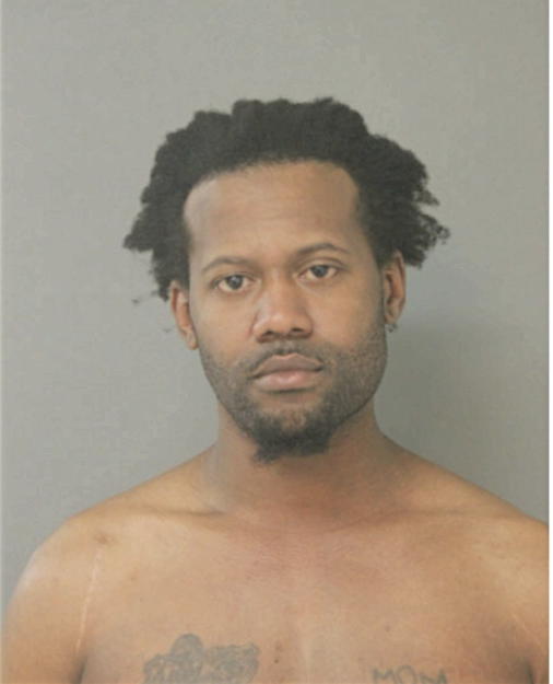MICHAEL L JOHNSON, Cook County, Illinois