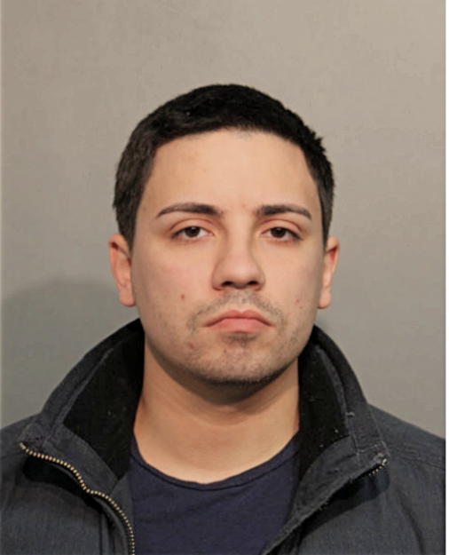 PETER J LEAL, Cook County, Illinois