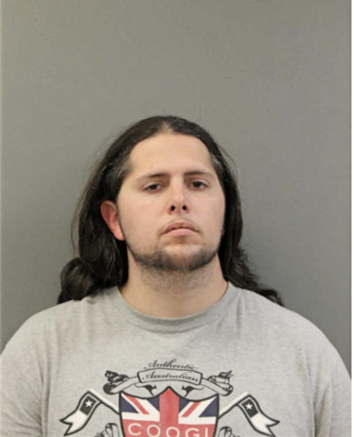 DANIEL M LEDENE, Cook County, Illinois