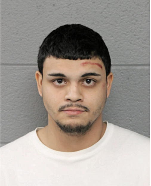 DAMIAN M MALGIOGLIO, Cook County, Illinois