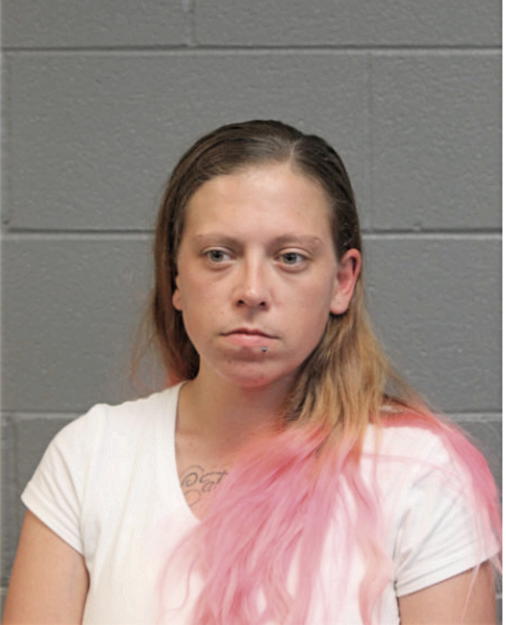 MEGAN L MARIN, Cook County, Illinois