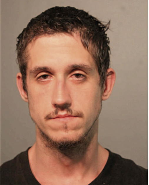 ROBERT A MIKKELSON, Cook County, Illinois