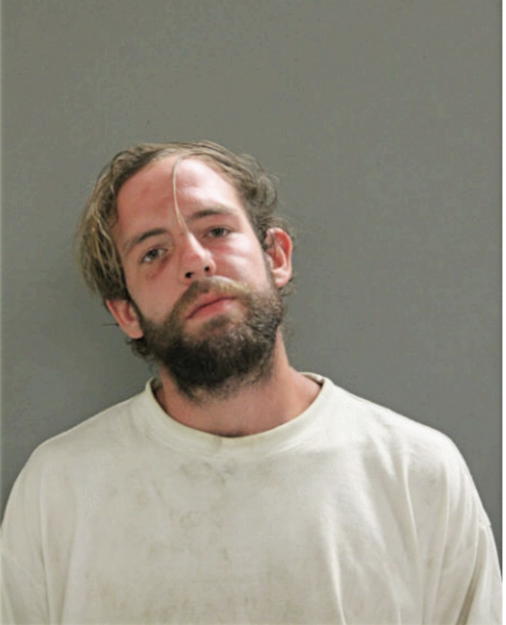 DAVID A MOORE, Cook County, Illinois