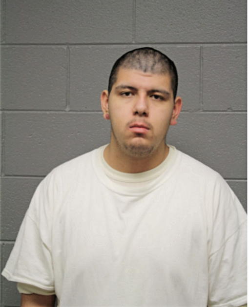 ENRIQUE MORA-GONZALEZ, Cook County, Illinois