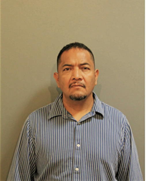 MARTIN A MORALES, Cook County, Illinois