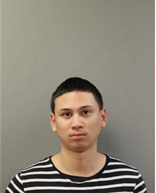 WILLIAM GIOVANNI NIEVES, Cook County, Illinois
