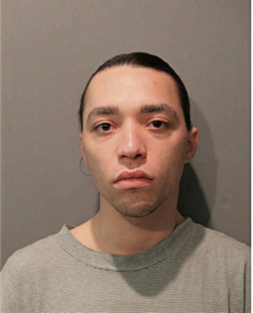 JOSE M PAGAN, Cook County, Illinois