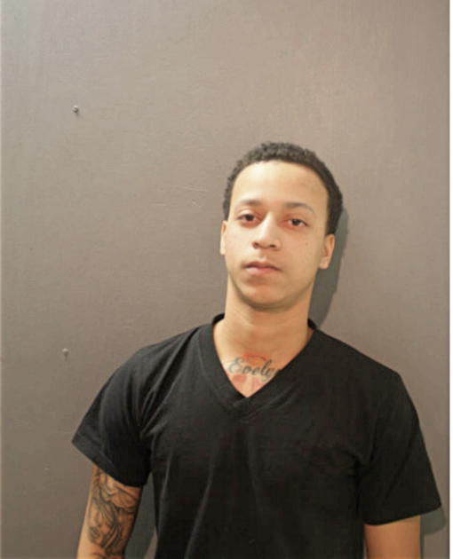 VISHAUN T PERKINS, Cook County, Illinois