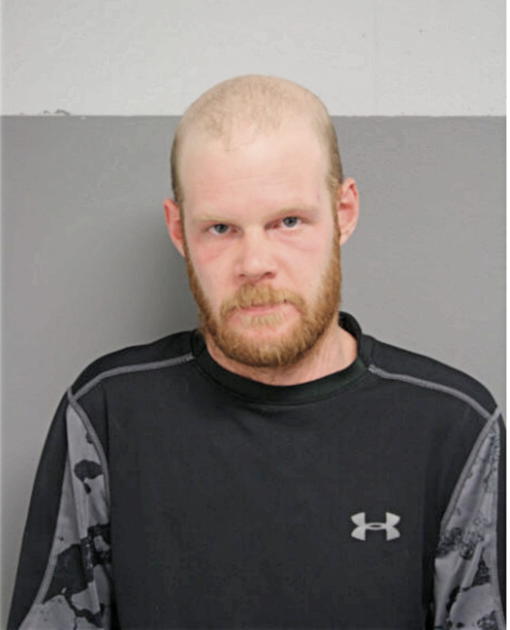 MICHAEL C PIERSON, Cook County, Illinois