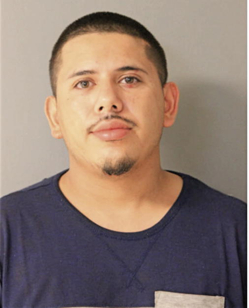 RICARDO A RAMOS, Cook County, Illinois