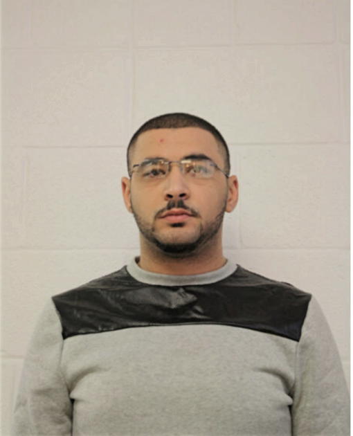 TAMER O REFAIE, Cook County, Illinois