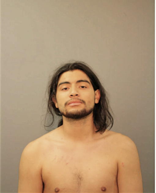 ALEX A REYES, Cook County, Illinois