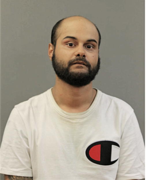 ANGEL D RIVERA, Cook County, Illinois
