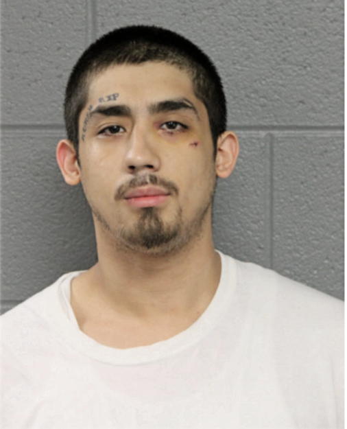 MICHAEL A RODRIGUEZ, Cook County, Illinois
