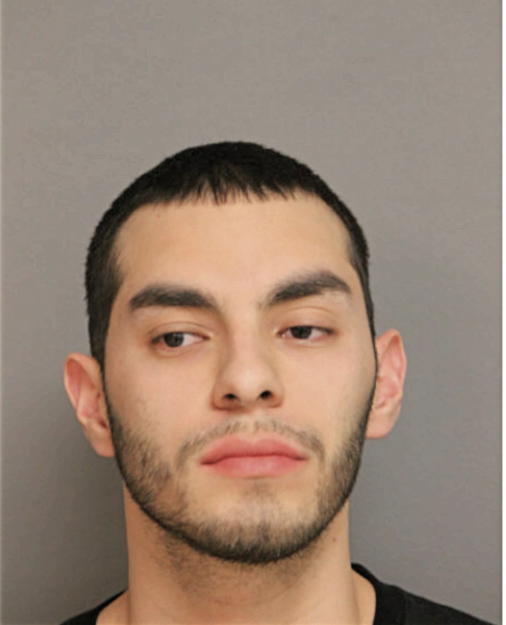 ANDREW ROMAN, Cook County, Illinois