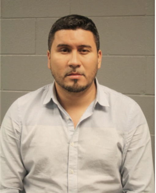 MARK SANCHEZ, Cook County, Illinois