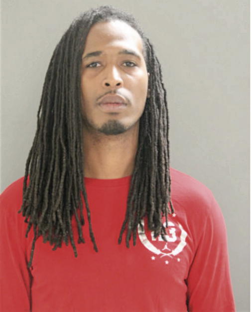 NEIL M SNOWDEN, Cook County, Illinois