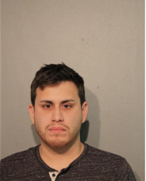 DIEGO MCLAUGHLIN TEQUIMILA, Cook County, Illinois