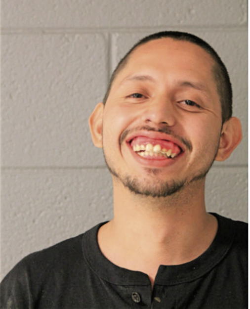 JAIME ALCARAZ, Cook County, Illinois