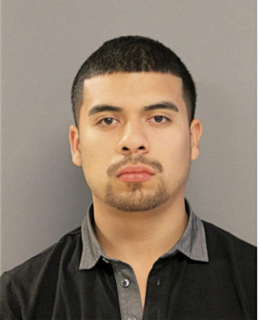 VILMER ALCARAZ, Cook County, Illinois
