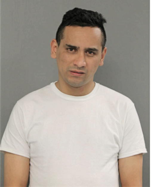 RENE ARCINIEGA, Cook County, Illinois