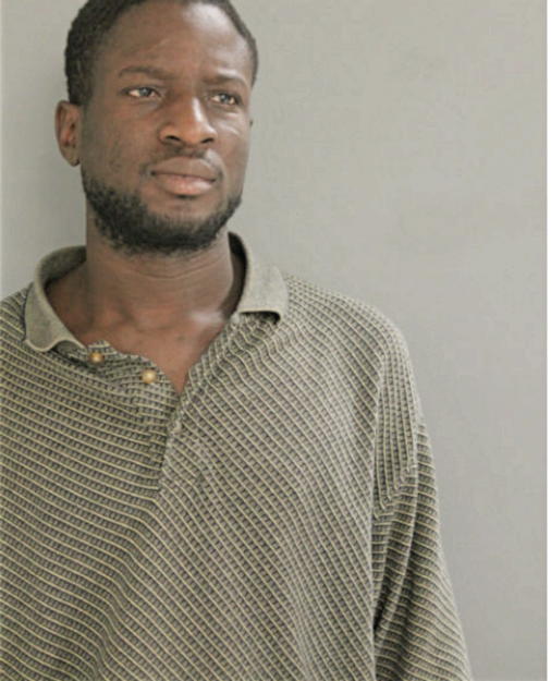 M ABIDEMI ARIWODLA, Cook County, Illinois
