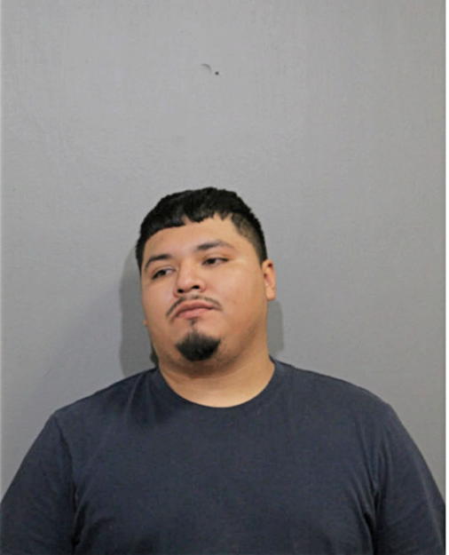 CRISTIAN M CAMARENA, Cook County, Illinois