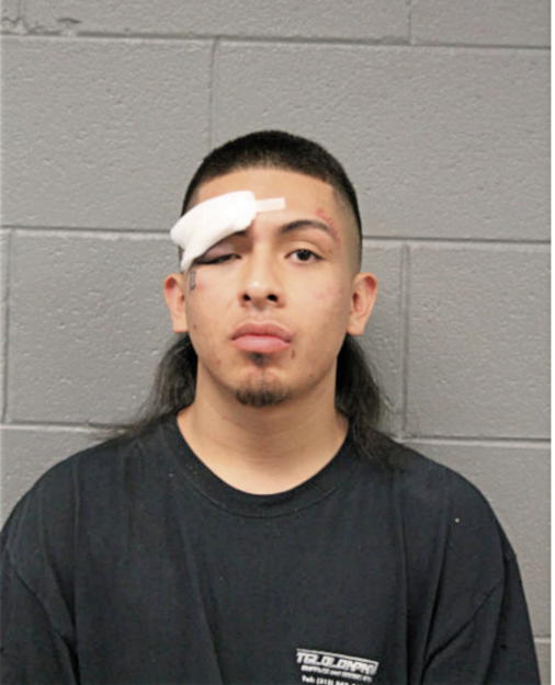 ERWIGN DELGADO, Cook County, Illinois