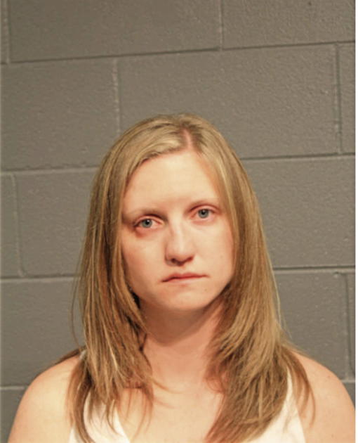 SARA E HOMERDING, Cook County, Illinois